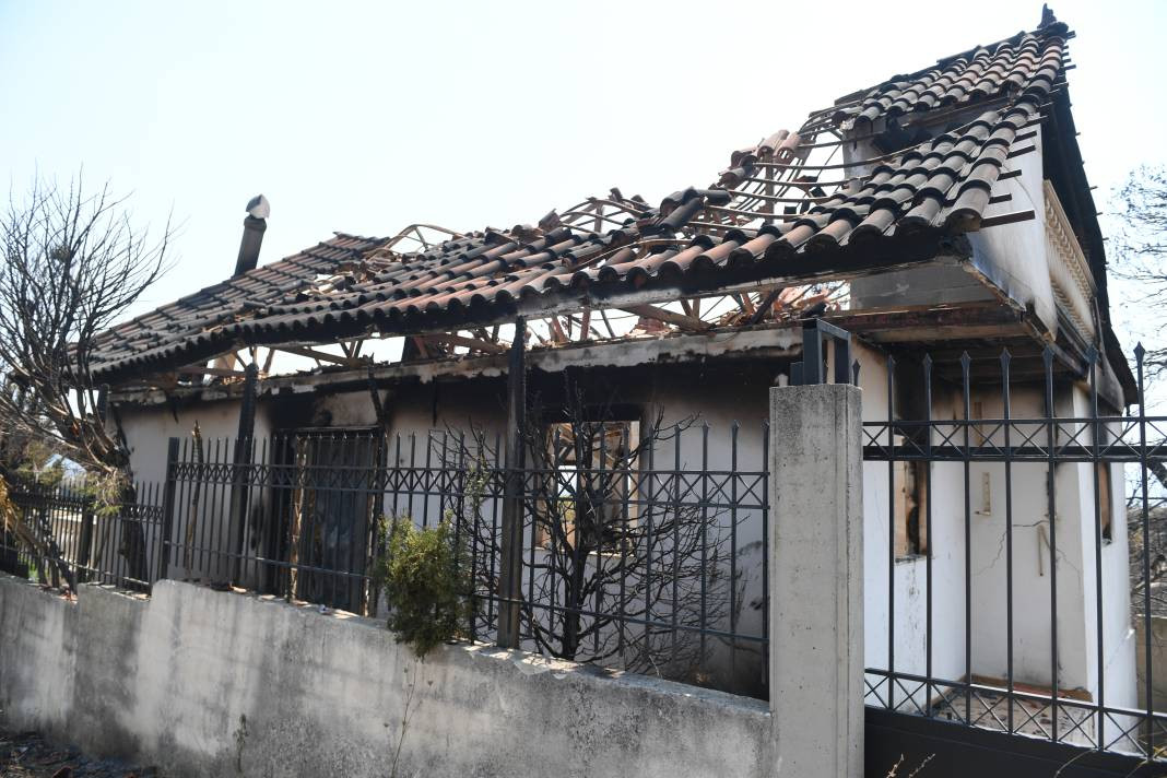 Meriç Bölgesi'nde yanan ormanlık alanda ceset bulundu - Resim: 3